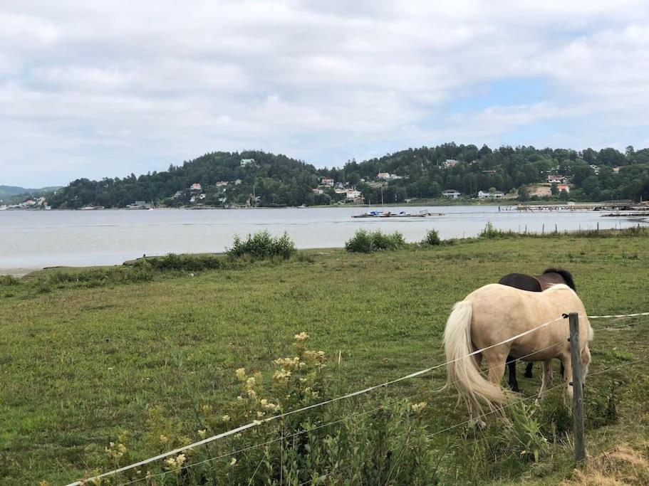 Apartment Right Next To The Golf Course And With The Ocean Just Around The Corner Ljungskile Eksteriør billede